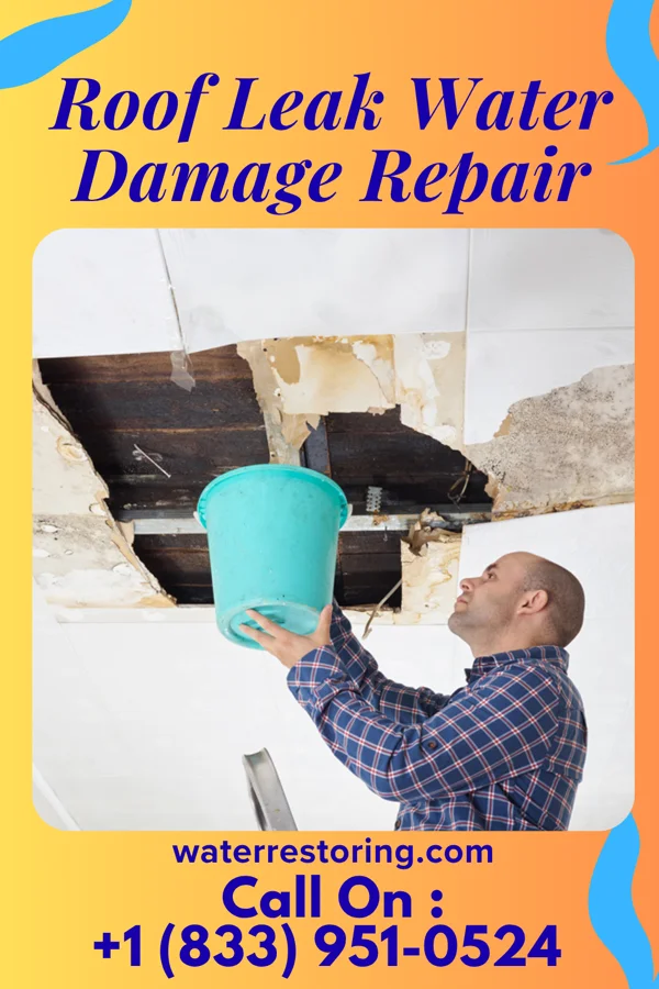 Roof Leak Water Damage Repair in Bettendorf, IA
